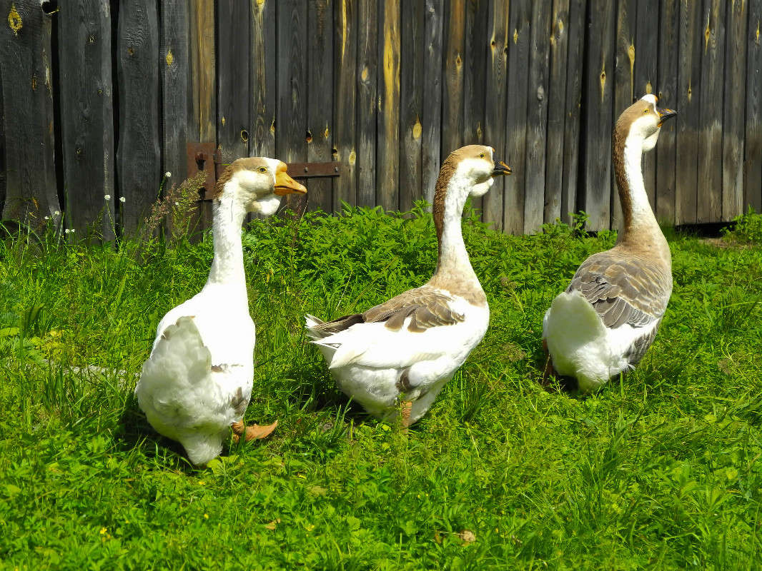 ��� , ��� , ���... ����� ������� ������� �� PhotoGeek.ru #�������� ��� #�������� ���