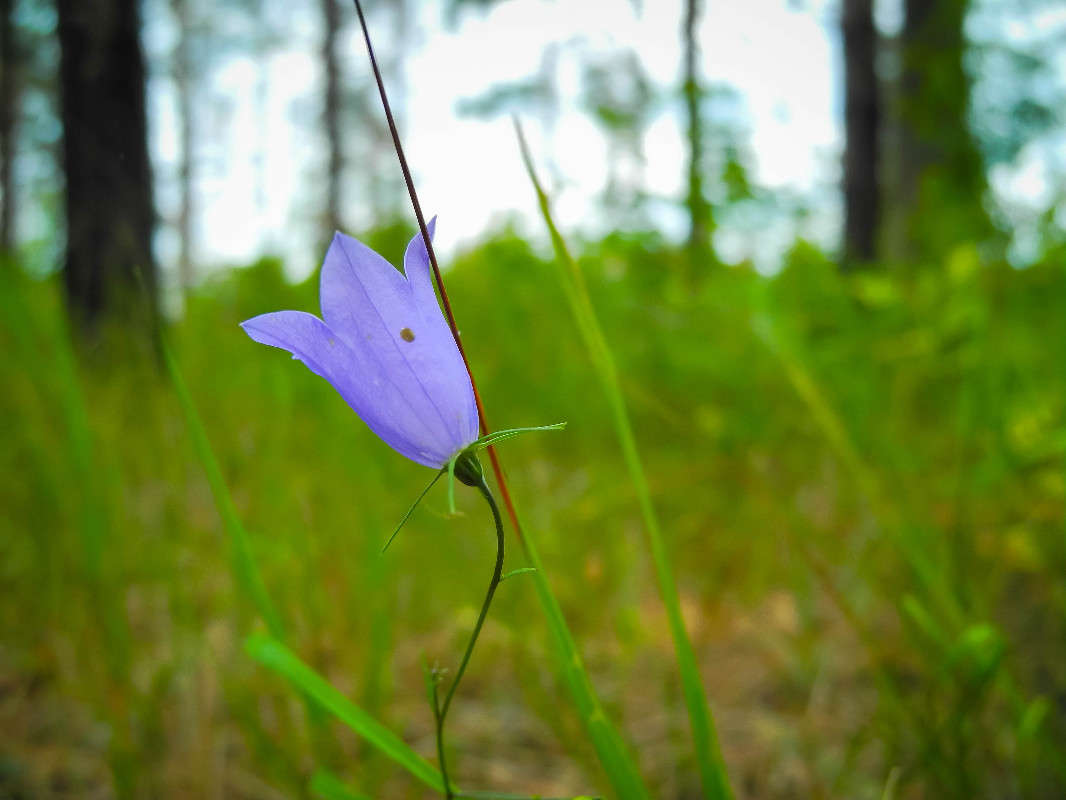 *** ����� ������� ������� �� PhotoGeek.ru #������ ��� ������� #����� ��������������