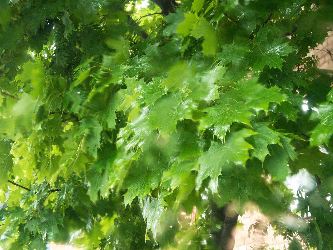 ����� ����� ����� ������� ������� �� PhotoGeek.ru #������ ��� ������� #����� ��������������