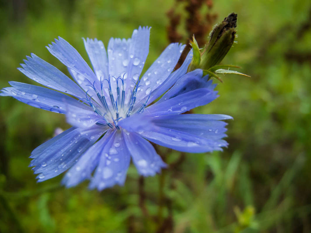 *** ����� ������� ������� �� PhotoGeek.ru #������ ��� ������� #����� ��������������