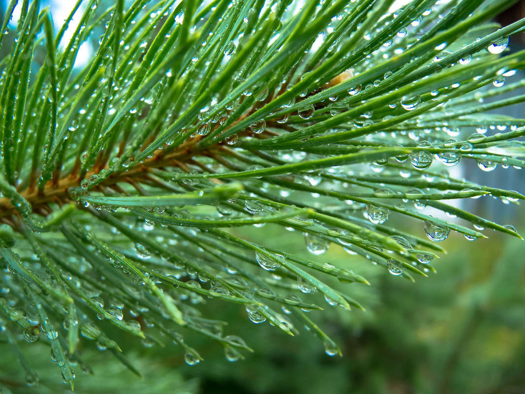 ����� �����... ����� ������� ������� �� PhotoGeek.ru #������ ��� ������� #����� ��������������