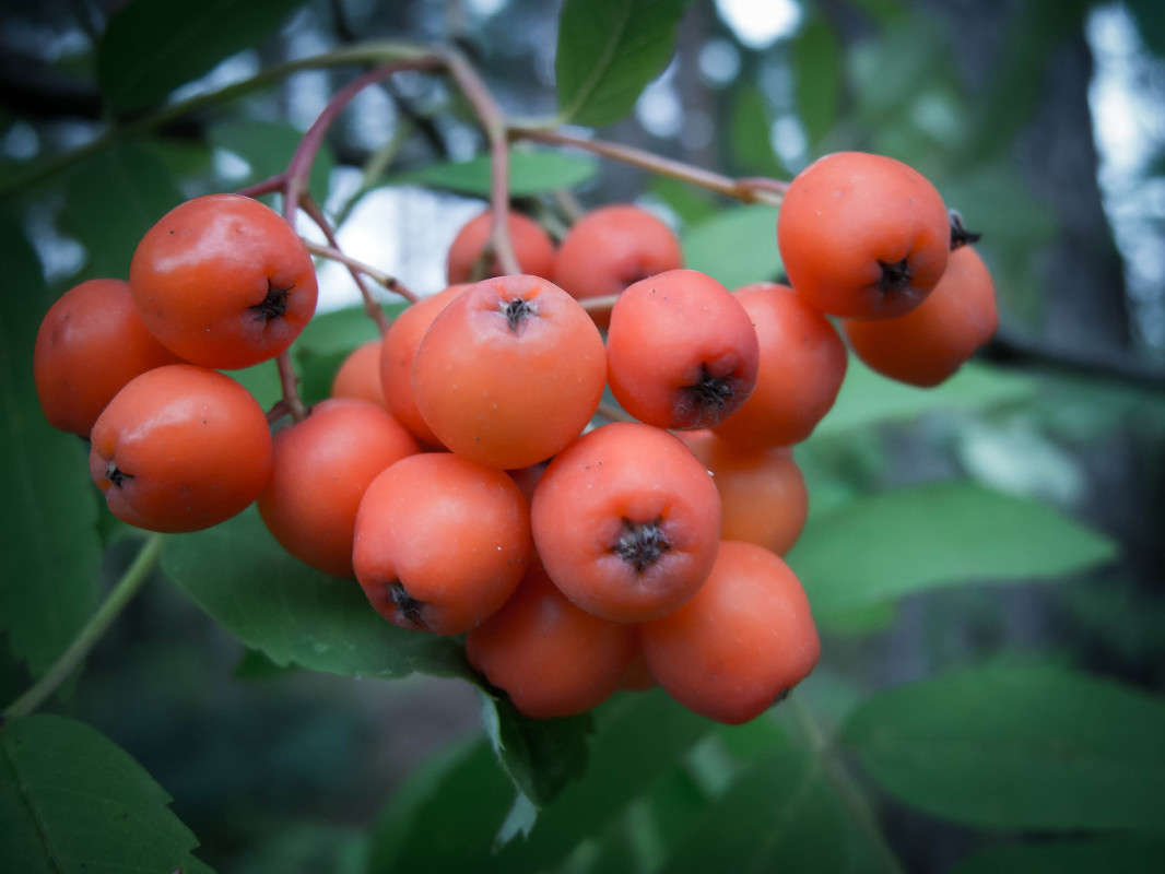 *** ����� ������� ������� �� PhotoGeek.ru #������ ��� ������� #����� ��������������