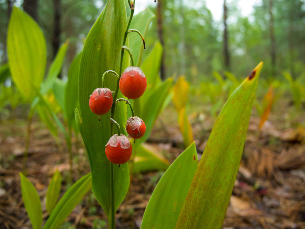 *** ����� ������� ������� �� PhotoGeek.ru #������ ��� ������� #����� ��������������