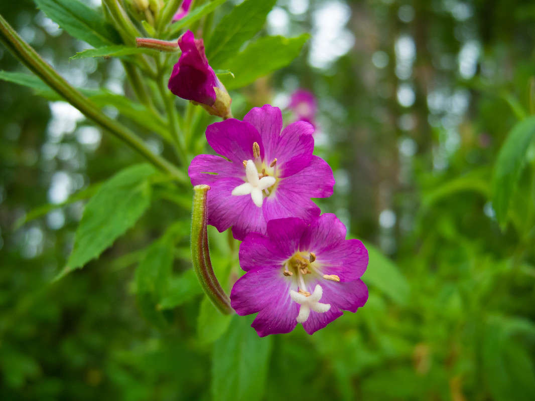 *** ����� ������� ������� �� PhotoGeek.ru #������ ��� ������� #����� ��������������