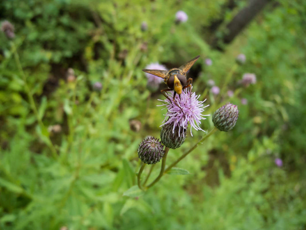 *** ����� ������� ������� �� PhotoGeek.ru #�������� ��� #������ ��� ������� #������