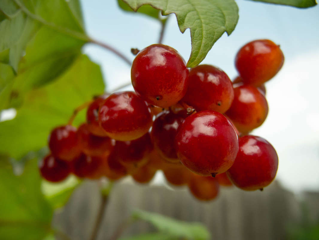 *** ����� ������� ������� �� PhotoGeek.ru #������ ��� ������� #����� ��������������