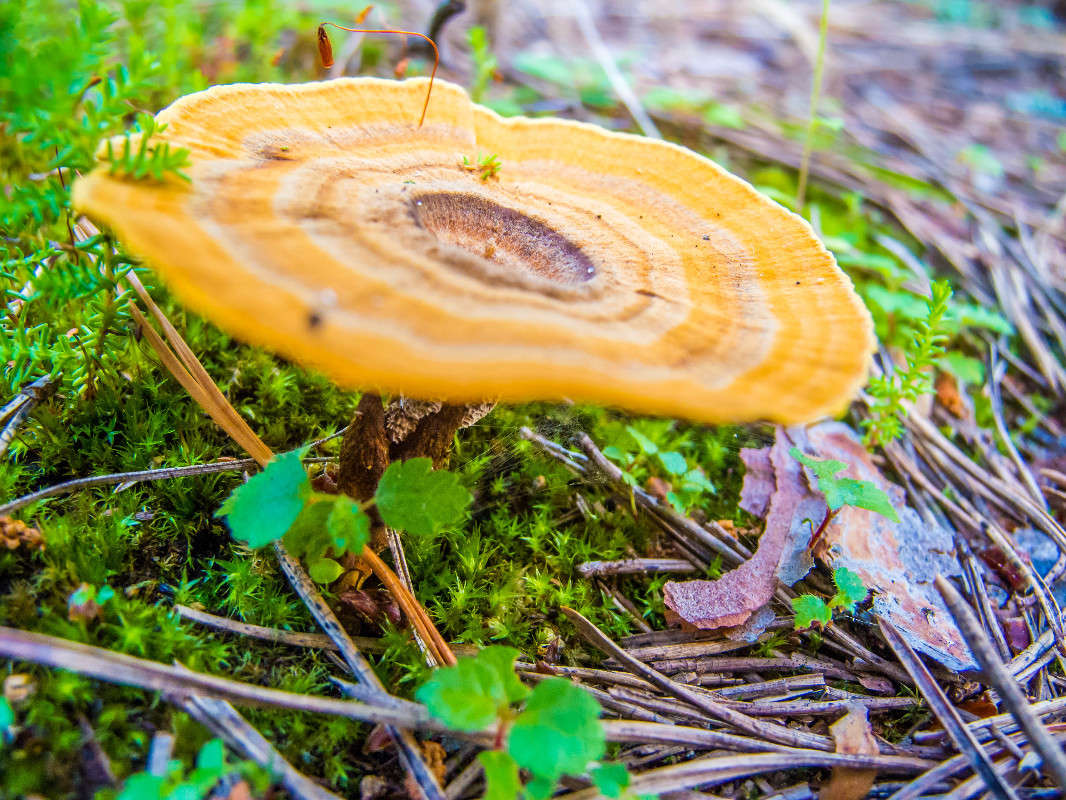 �������� ����� ������� ������� �� PhotoGeek.ru #������ ��� �������