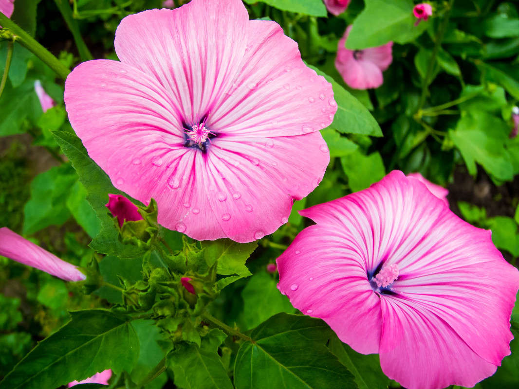 *** ����� ������� ������� �� PhotoGeek.ru #������ ��� ������� #����� ��������������