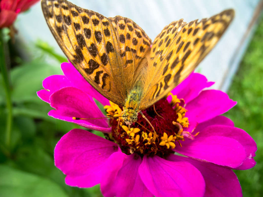 �� ��������... ����� ������� ������� �� PhotoGeek.ru #������ ��� ������� #������