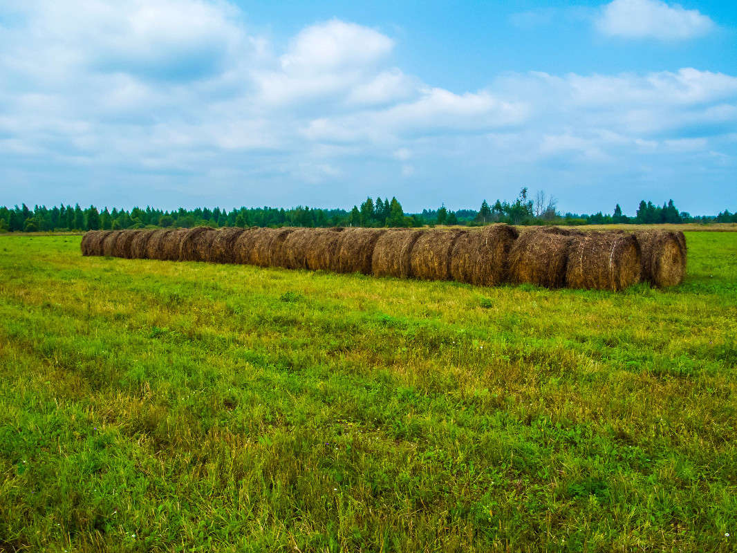 �� ������... ����� ������� ������� �� PhotoGeek.ru #������ ��� �������