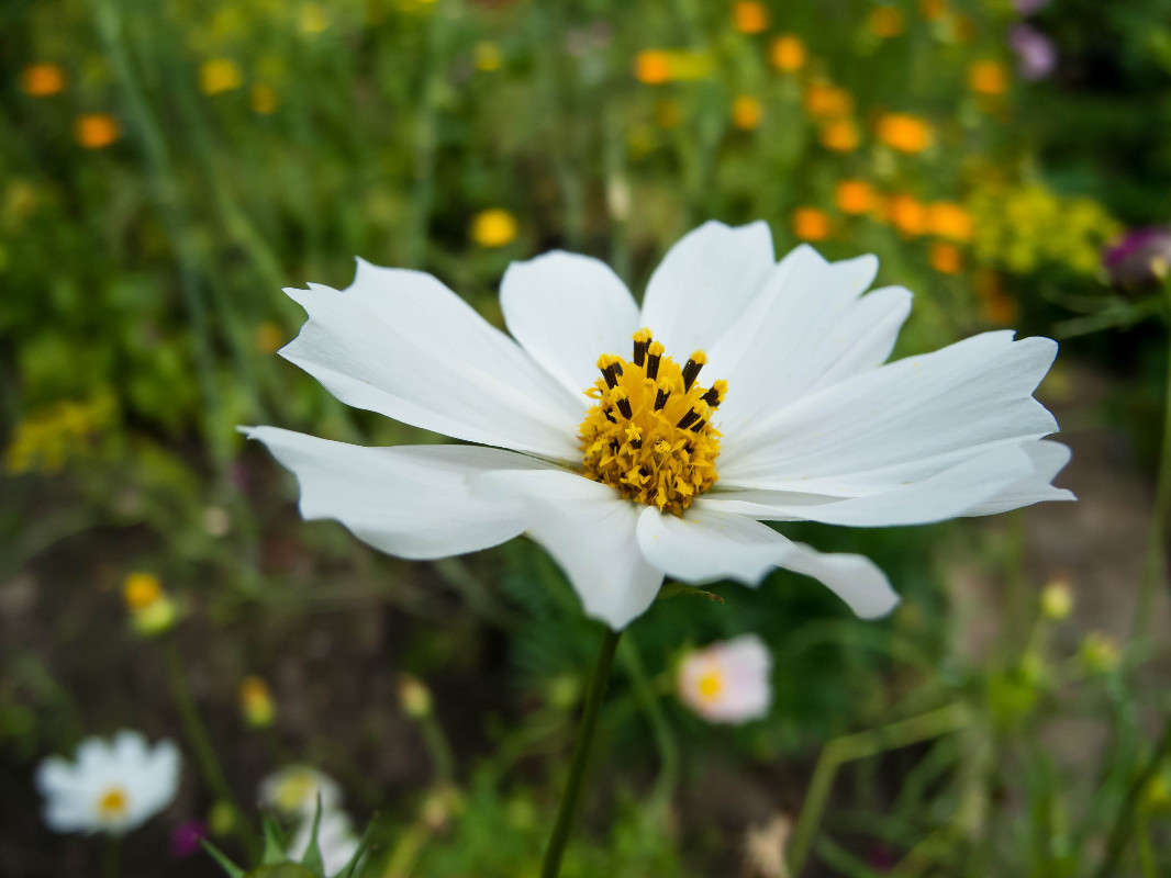 *** ����� ������� ������� �� PhotoGeek.ru #������ ��� ������� #����� ��������������