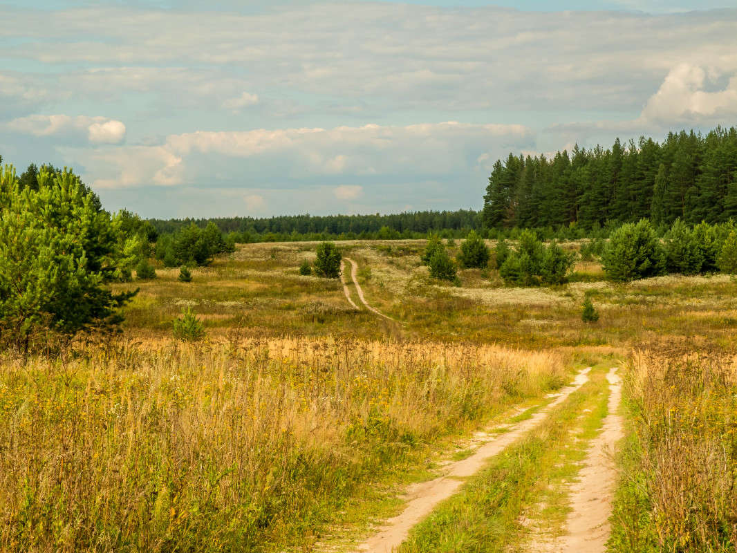 *** ����� ������� ������� �� PhotoGeek.ru #������ ��� ������� #����� ��������������