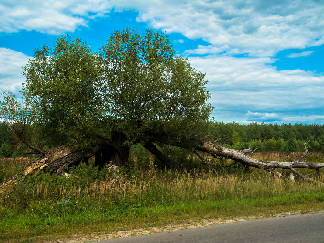 ������ � ������... ����� ������� ������� �� PhotoGeek.ru #������ ��� ������� #����� ��������������