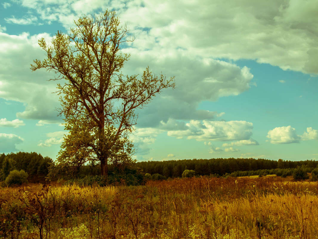 *** ����� ������� ������� �� PhotoGeek.ru #������ ��� ������� #����� ��������������