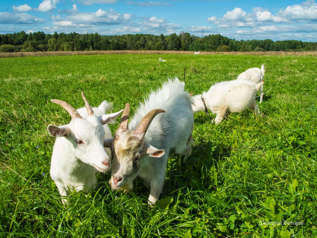 �� �����... ����� ������� ������� �� PhotoGeek.ru #�������� ��� #�������� ���