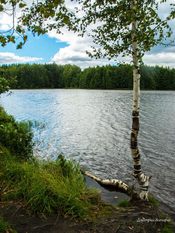 �� ������ ����� ������� ������� �� PhotoGeek.ru #������ ��� �������