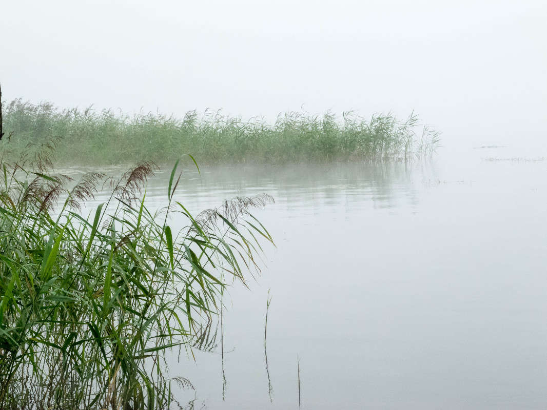 ����� �� �����... ����� ������� ������� �� PhotoGeek.ru #������ ��� �������