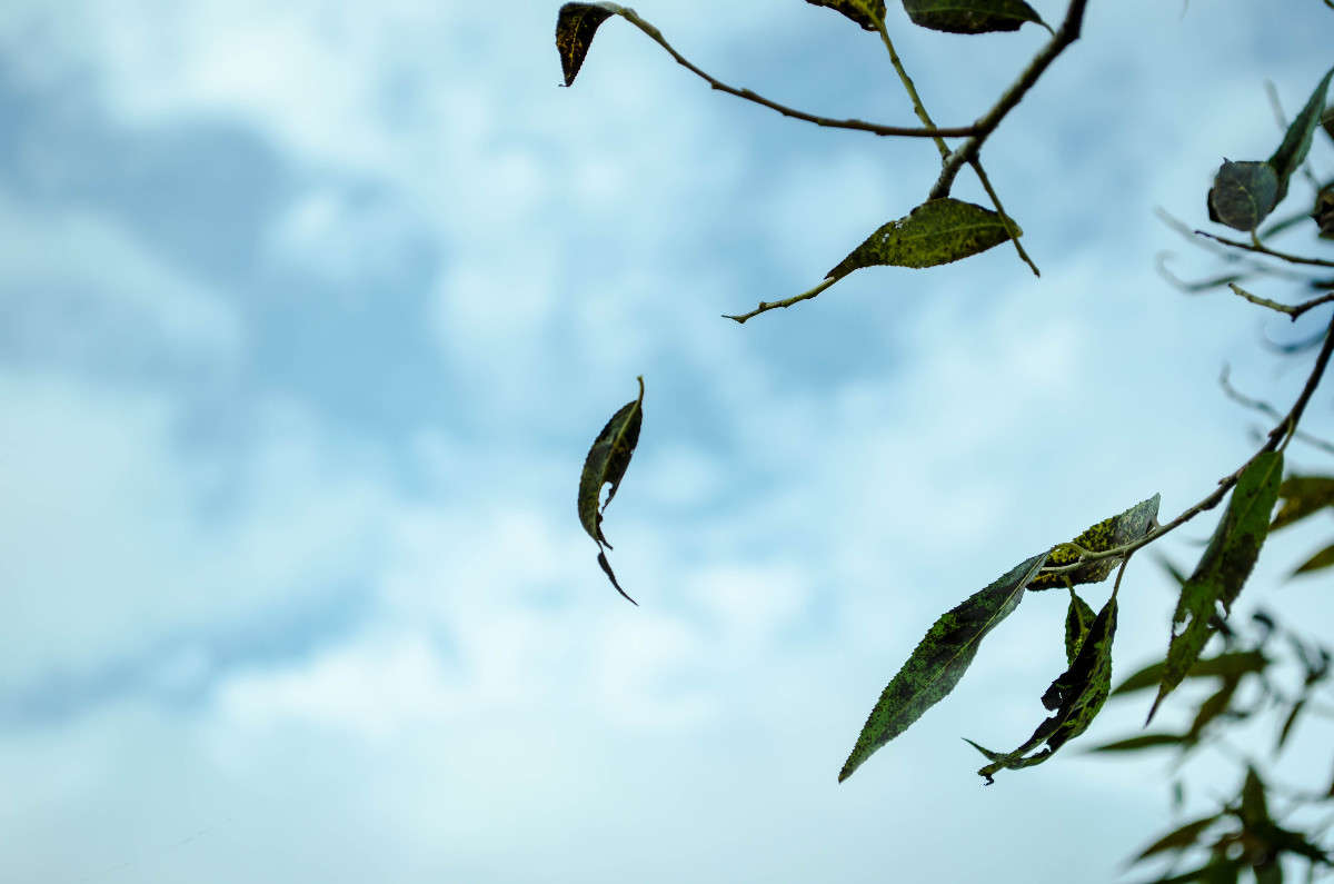 �������� ������... ����� ������� ������� �� PhotoGeek.ru #������ ��� ������� #����� ��������������