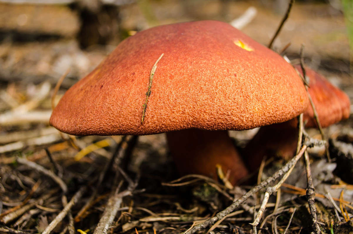 *** ����� ������� ������� �� PhotoGeek.ru #������ ��� �������