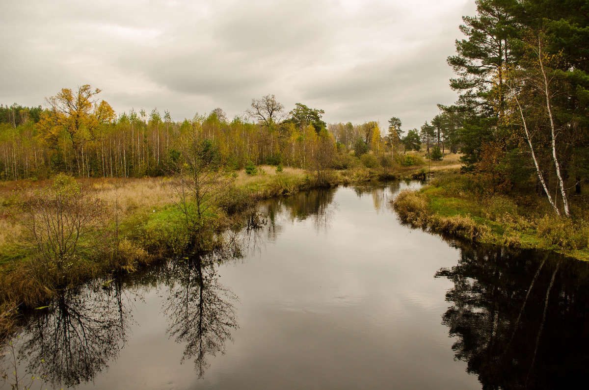 ����� ����� ������� ������� �� PhotoGeek.ru #������ ��� �������