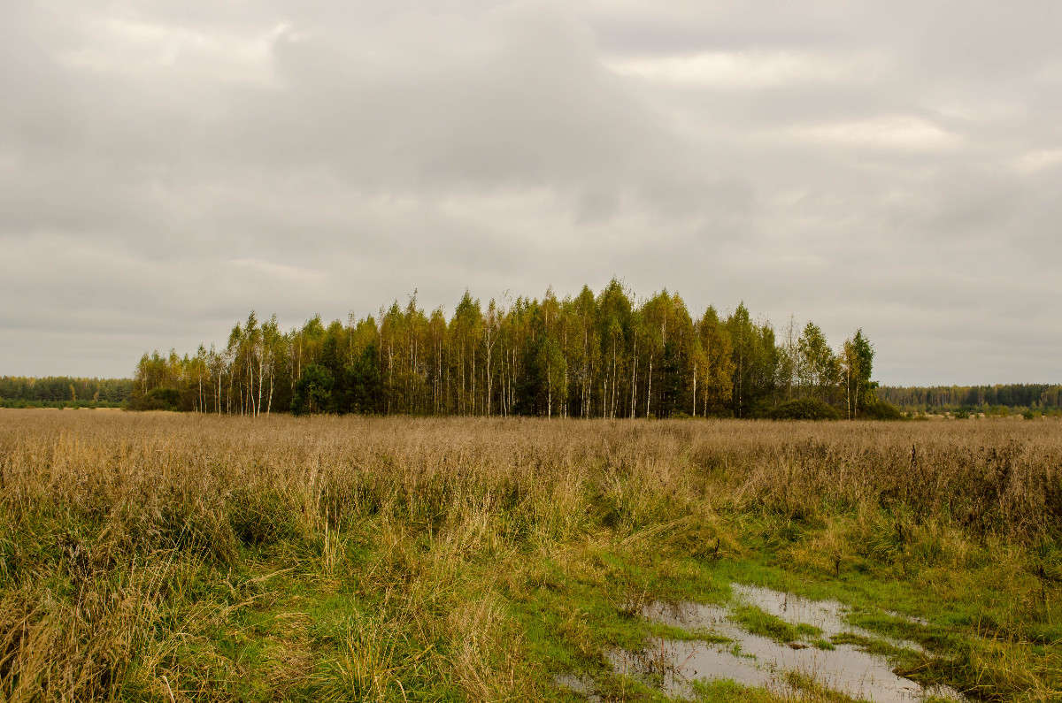 *** ����� ������� ������� �� PhotoGeek.ru #������ ��� �������