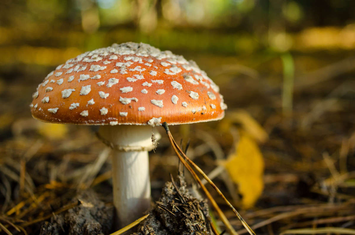 *** ����� ������� ������� �� PhotoGeek.ru #������ ��� ������� #����� ��������������