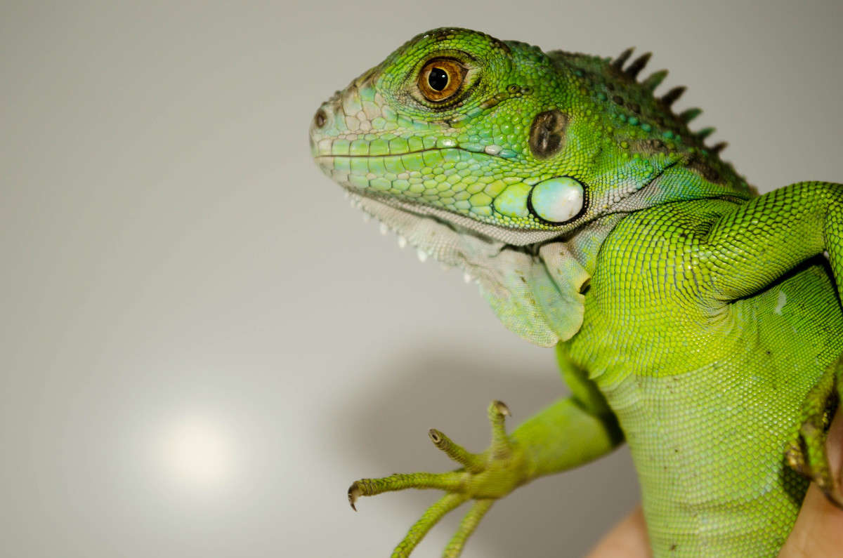 *** ����� ������� ������� �� PhotoGeek.ru #�������� ��� #�������� ���