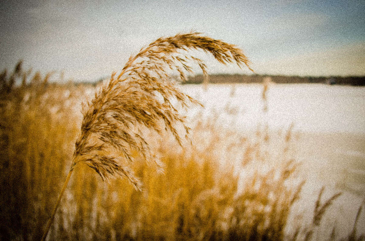 *** ����� ������� ������� �� PhotoGeek.ru #������ ��� �������