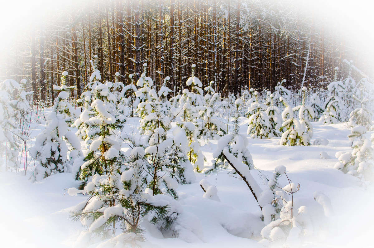 *** ����� ������� ������� �� PhotoGeek.ru #������ ��� �������