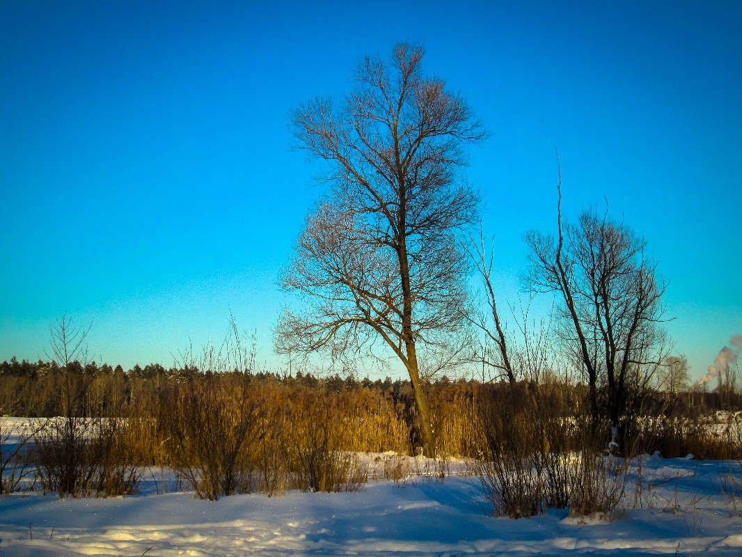 *** ����� ������� ������� �� PhotoGeek.ru #������ ��� �������