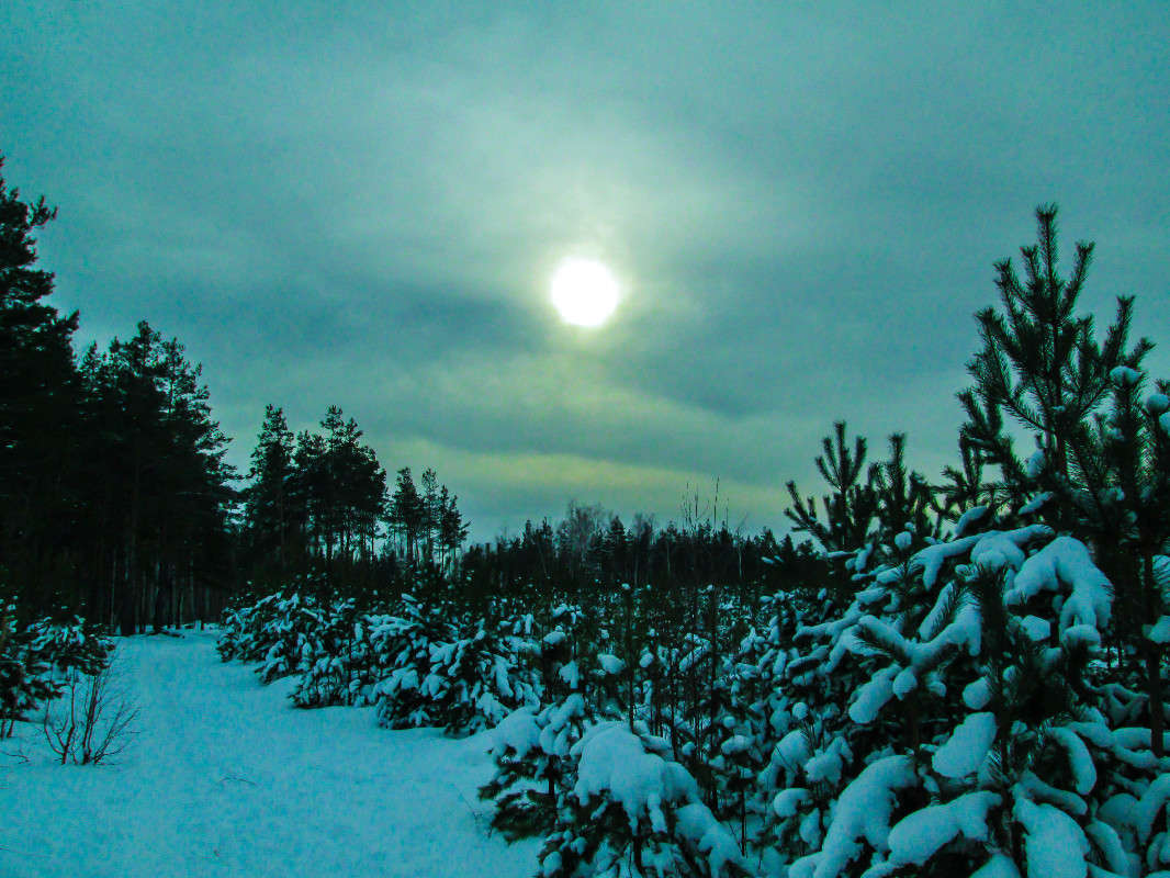 *** ����� ������� ������� �� PhotoGeek.ru #������ ��� �������