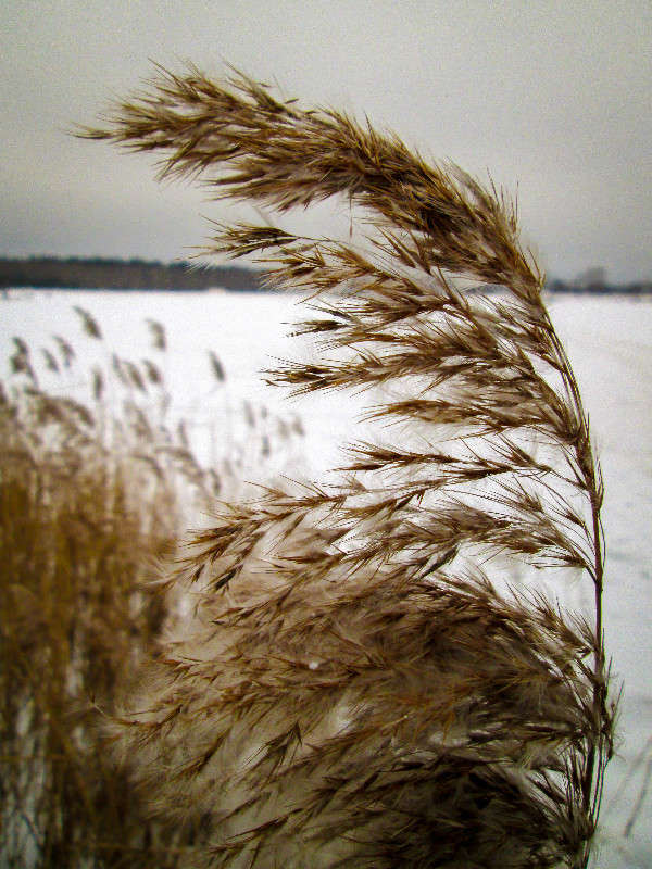 *** ����� ������� ������� �� PhotoGeek.ru #������ ��� �������