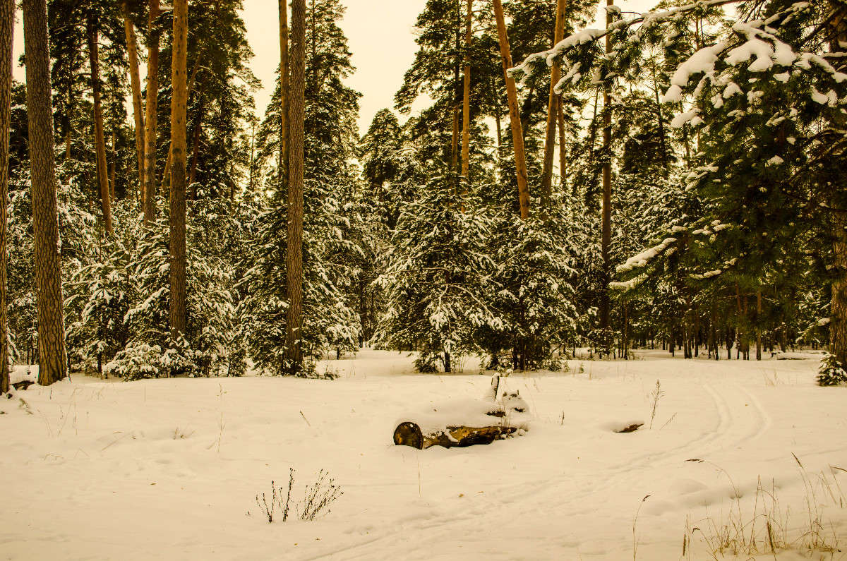 *** ����� ������� ������� �� PhotoGeek.ru #������ ��� �������