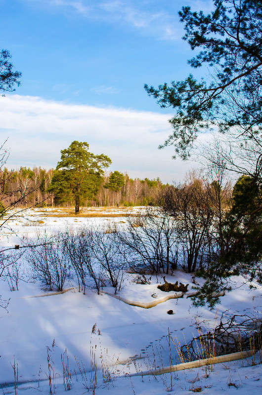 *** ����� ������� ������� �� PhotoGeek.ru #������ ��� �������