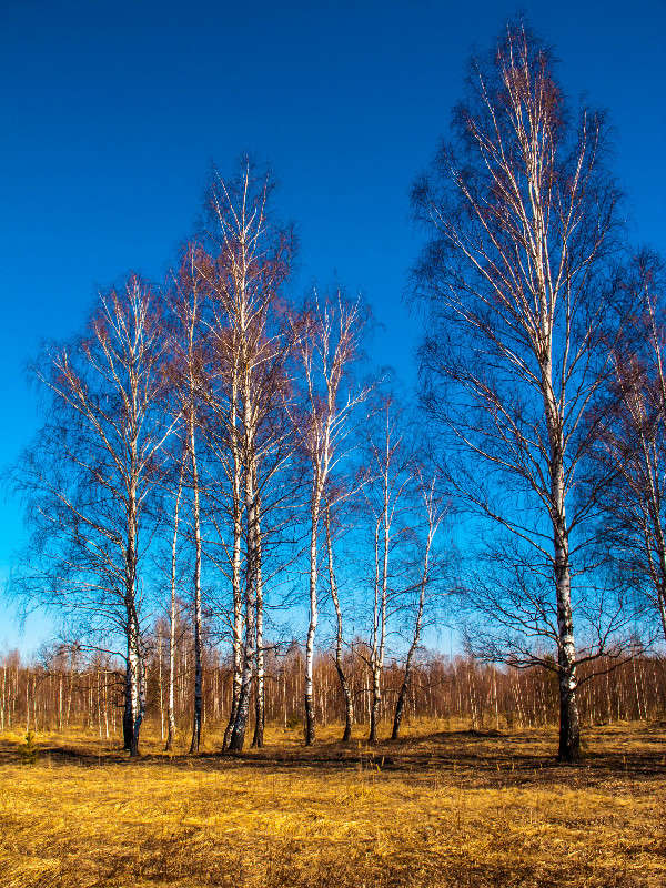 *** ����� ������� ������� �� PhotoGeek.ru #������ ��� �������