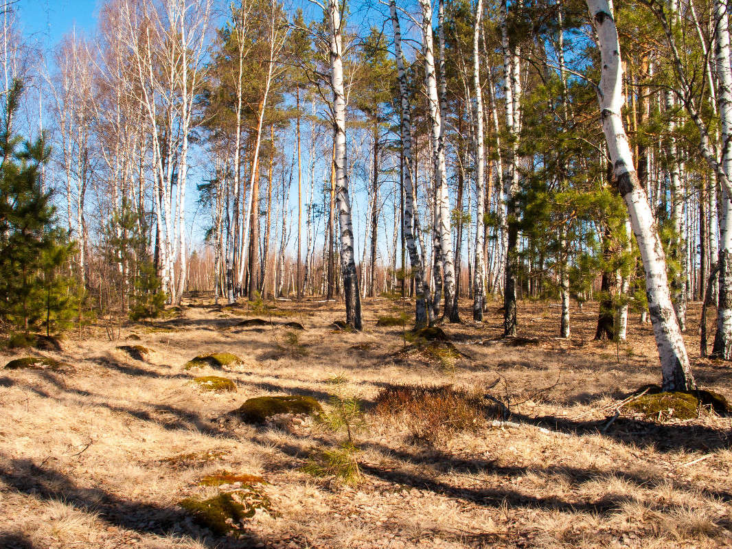 *** ����� ������� ������� �� PhotoGeek.ru #������ ��� �������