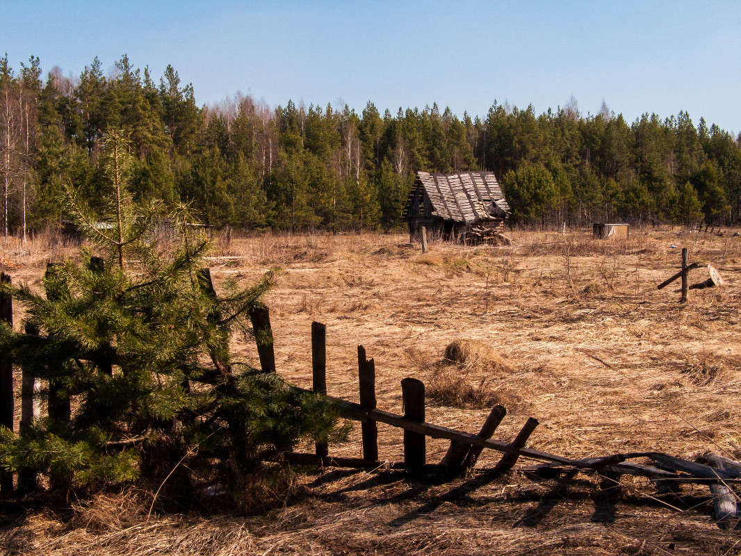 *** ����� ������� ������� �� PhotoGeek.ru #��������