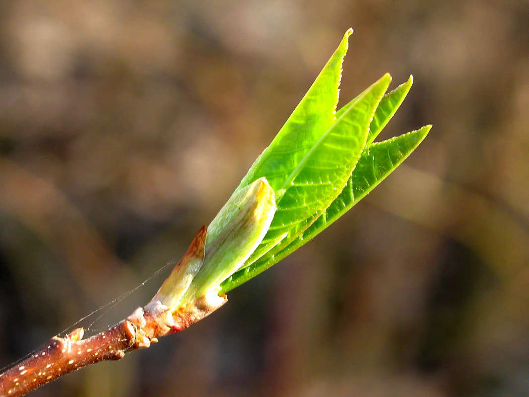 *** ����� ������� ������� �� PhotoGeek.ru #������ ��� ������� #����� ��������������