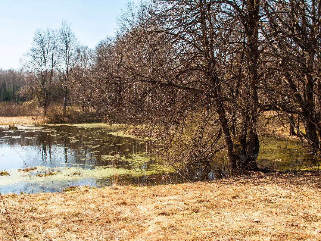 *** ����� ������� ������� �� PhotoGeek.ru #������ ��� ������� #����� ��������������