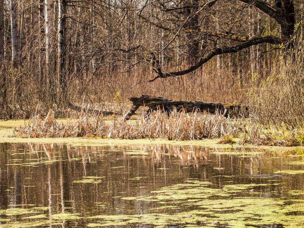 *** ����� ������� ������� �� PhotoGeek.ru #������ ��� ������� #����� ��������������