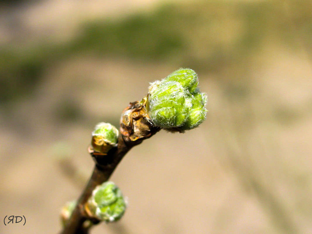 *** ����� ������� ������� �� PhotoGeek.ru #������ ��� ������� #����� ��������������