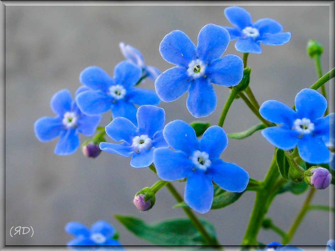 *** ����� ������� ������� �� PhotoGeek.ru #������ ��� ������� #����� ��������������