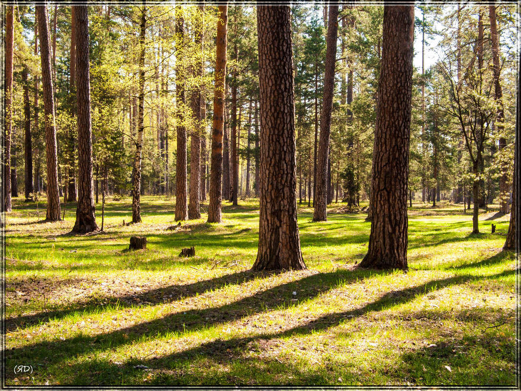 *** ����� ������� ������� �� PhotoGeek.ru #������ ��� �������