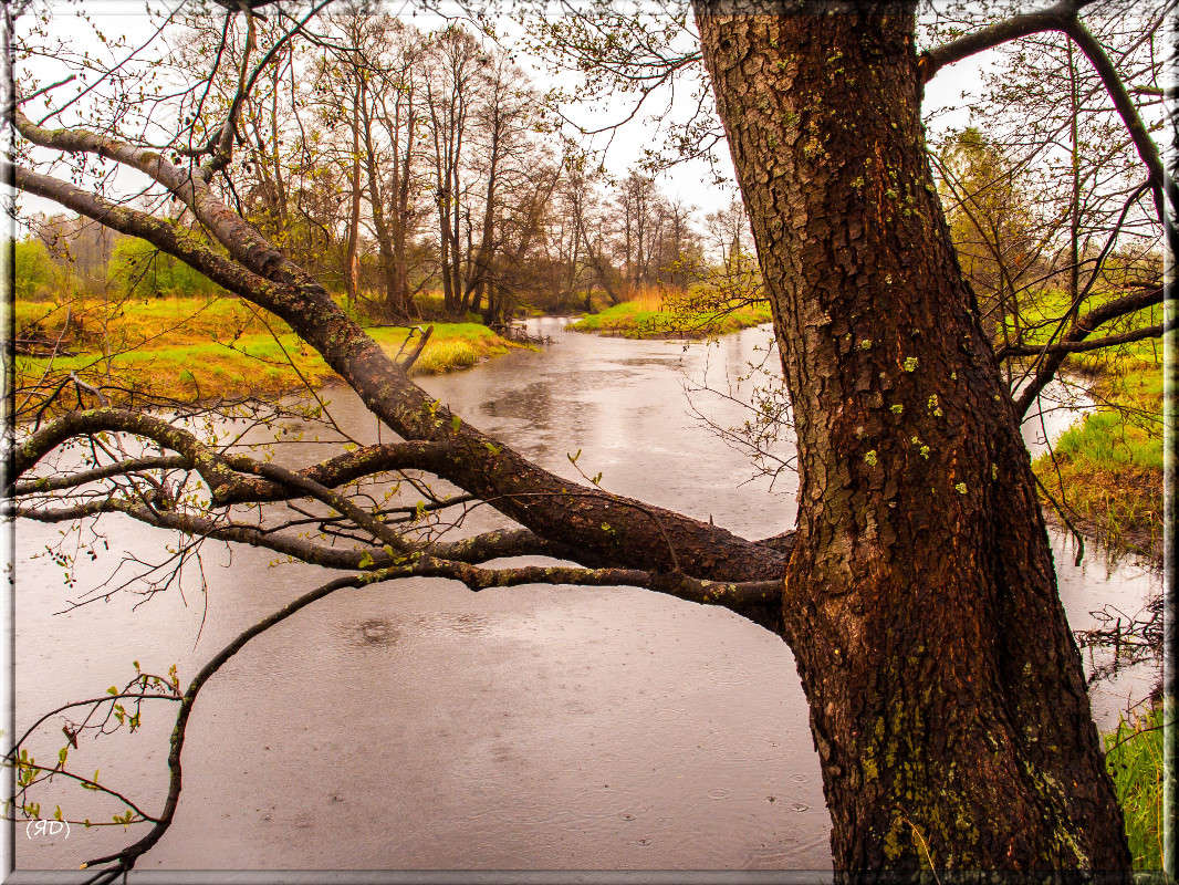 *** ����� ������� ������� �� PhotoGeek.ru #������ ��� �������