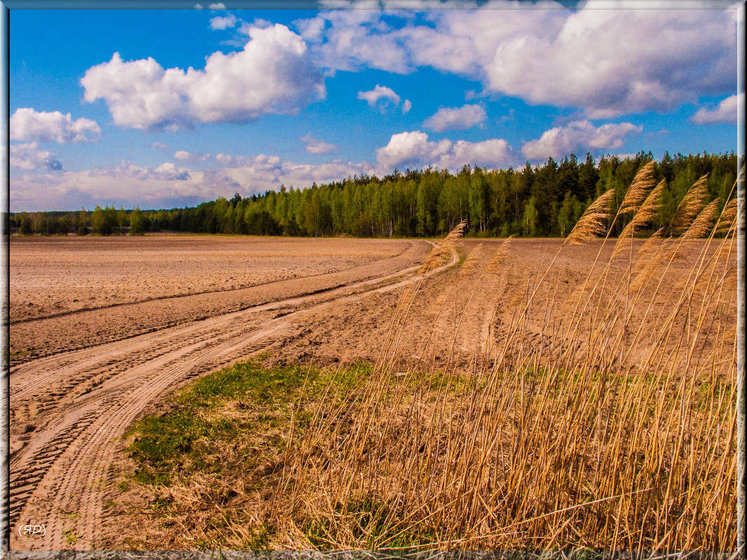 *** ����� ������� ������� �� PhotoGeek.ru #������ ��� �������