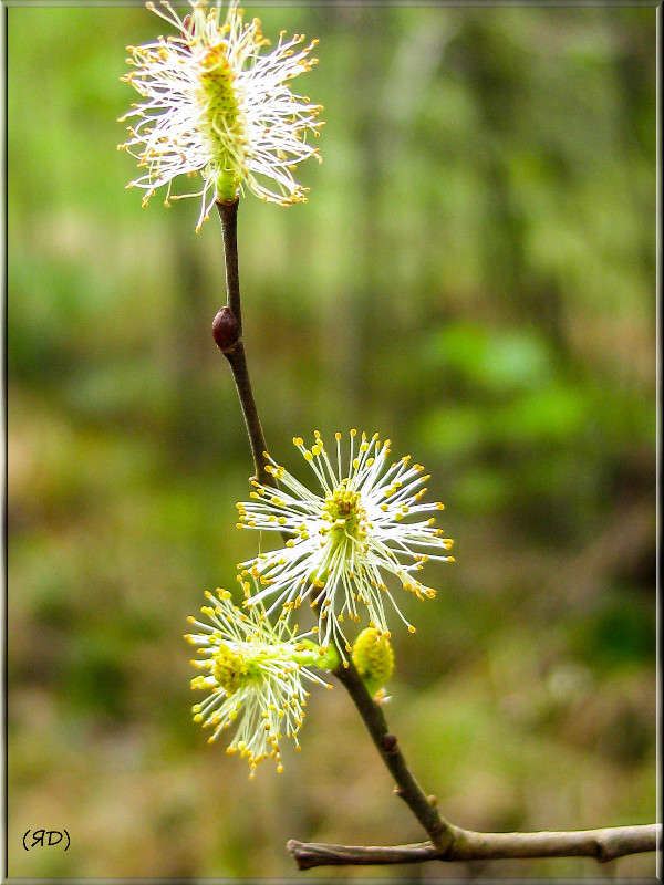 *** ����� ������� ������� �� PhotoGeek.ru #������ ��� ������� #����� ��������������