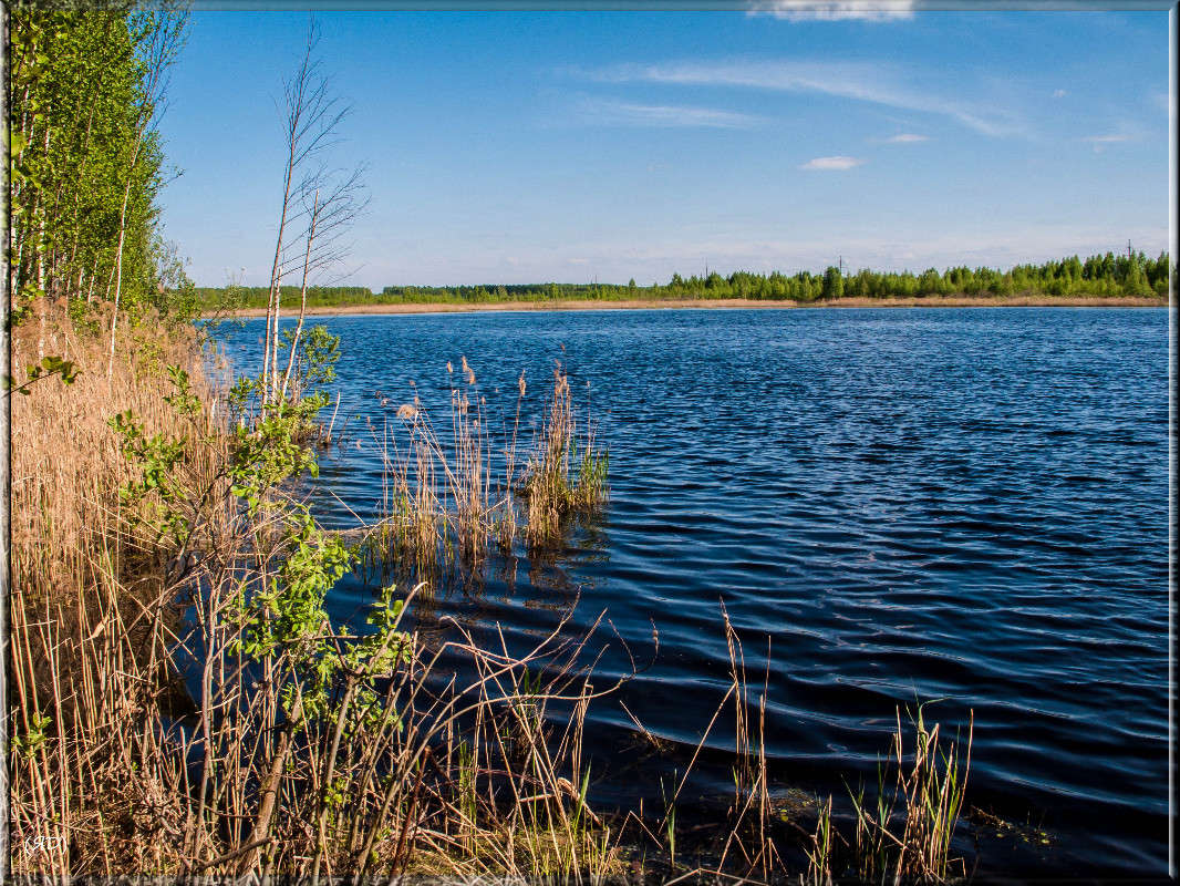 *** ����� ������� ������� �� PhotoGeek.ru #������ ��� �������