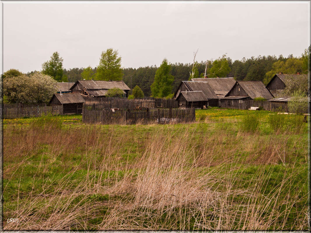 *** ����� ������� ������� �� PhotoGeek.ru #������ ��� ������� #��������