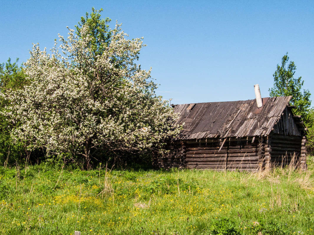 �������� ����� ������� ������� �� PhotoGeek.ru #��������