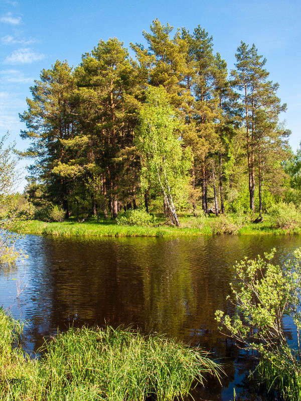 *** ����� ������� ������� �� PhotoGeek.ru #������ ��� �������